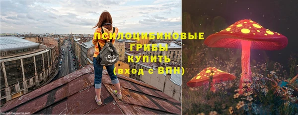 ГАЛЛЮЦИНОГЕННЫЕ ГРИБЫ Пересвет