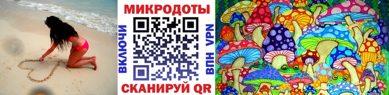 Галлюциногенные грибы Psilocybine cubensis  shop формула  Кропоткин 